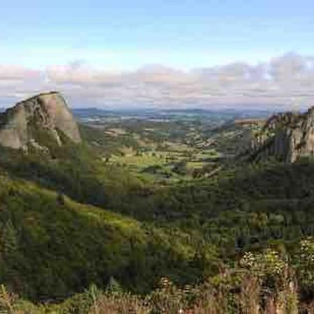 La Grange De La Gratade Vila Rochefort-Montagne Exterior foto